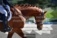 ref. photo 3556447