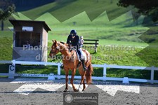 ref. photo 3556451