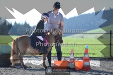 ref. photo 3556472