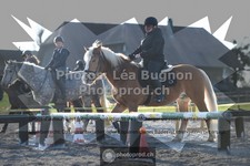ref. photo 3556481