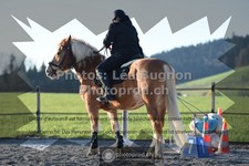 ref. photo 3556483