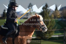 ref. photo 3556486