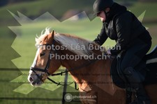 ref. photo 3556490