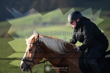 ref. photo 3556491