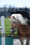 ref. photo 3556496