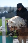 ref. photo 3556497