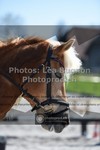 ref. photo 3556505