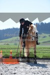 ref. photo 3556507