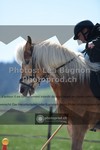 ref. photo 3556509