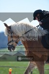 ref. photo 3556510