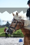 ref. photo 3556512
