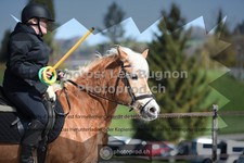 ref. photo 3556513