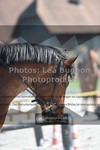 ref. photo 3556532