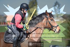 ref. photo 3556538