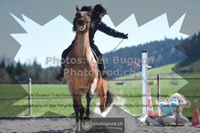 ref. photo 3556548