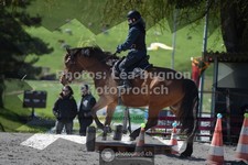 ref. photo 3556550