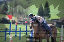 ref. photo 3556551