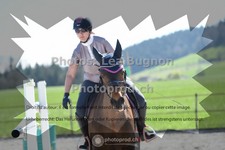 ref. photo 3556555