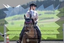 ref. photo 3556556