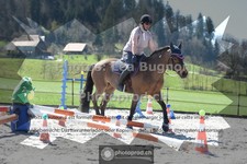 ref. photo 3556557