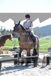 ref. photo 3556559