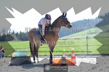 ref. photo 3556561