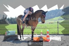 ref. photo 3556562