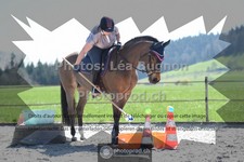 ref. photo 3556563
