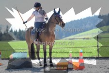 ref. photo 3556564
