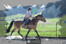 ref. photo 3556565