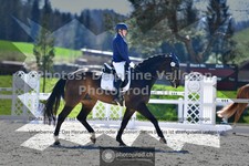 ref. photo 3556592