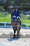 ref. photo 3556606