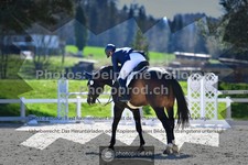 ref. photo 3556617