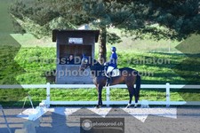 ref. photo 3556623