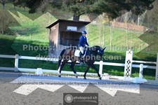 ref. photo 3556626