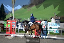 ref. photo 3556630