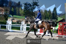 ref. photo 3556642