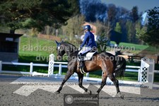 ref. photo 3556643