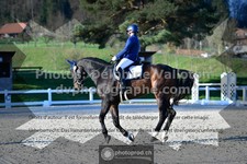 ref. photo 3556649