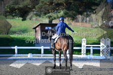 ref. photo 3556674