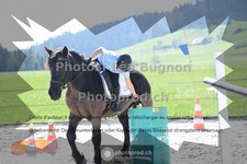 ref. photo 3556687