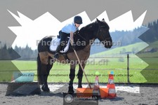 ref. photo 3556691