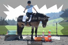 ref. photo 3556694
