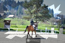 ref. photo 3556701