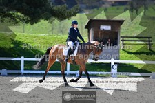 ref. photo 3556709