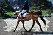 ref. photo 3556719