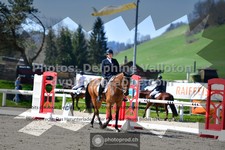 ref. photo 3556747