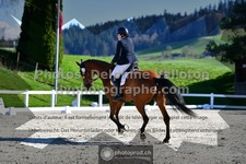 ref. photo 3556780