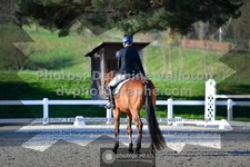 ref. photo 3556807