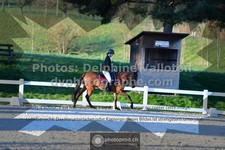 ref. photo 3556858